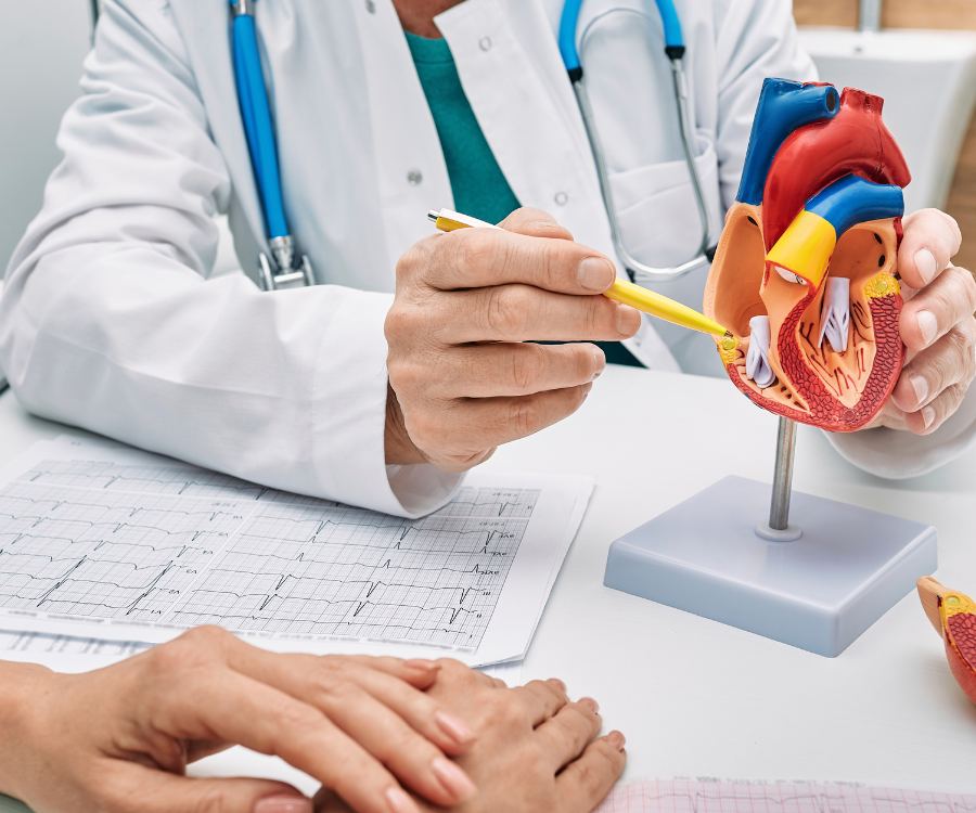 visita cardiologica